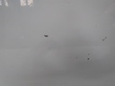 16456112074782275919233774567212.jpg