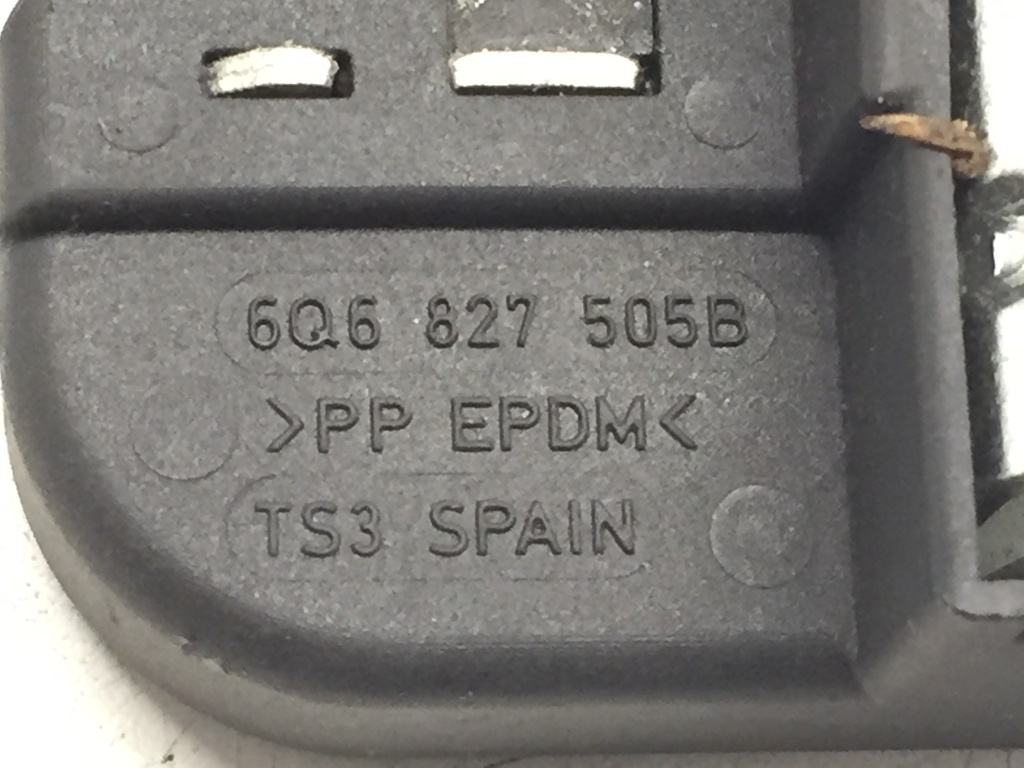 IMG_5183.JPG