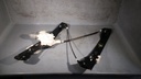 20220211_062822.jpg