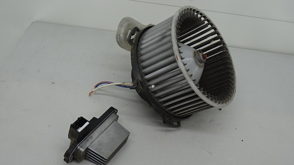DSC09368.JPG