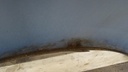 DSC09585.JPG