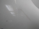 16480306832079035120211834737428.jpg