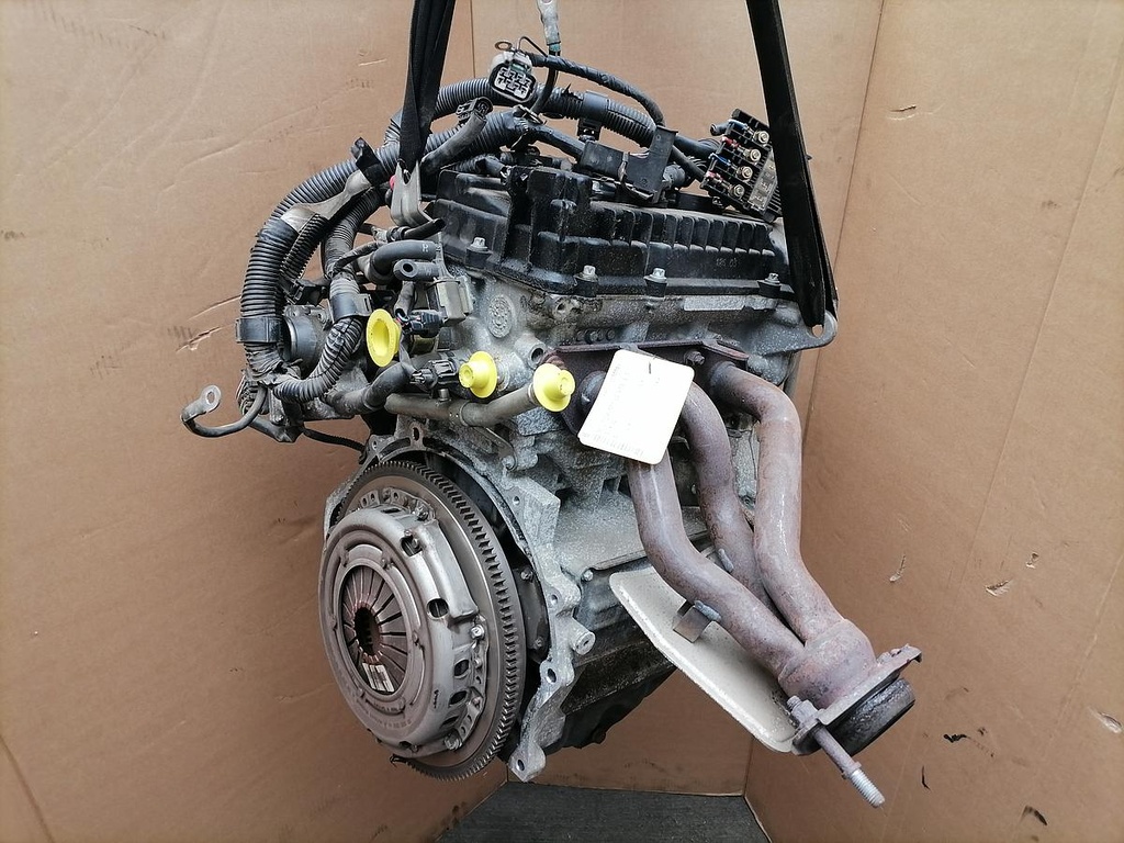 IMG_20220404_121008.jpg