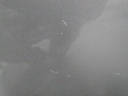 16494246950072018259653690095020.jpg
