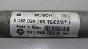 DSC01575.JPG