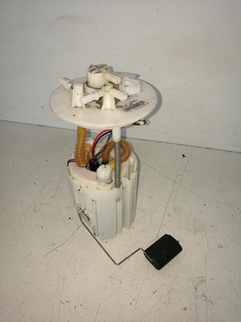 IMG_20220502_091719[1].jpg