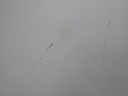 16514969565598900073022883569195.jpg