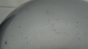 DSC03516.JPG