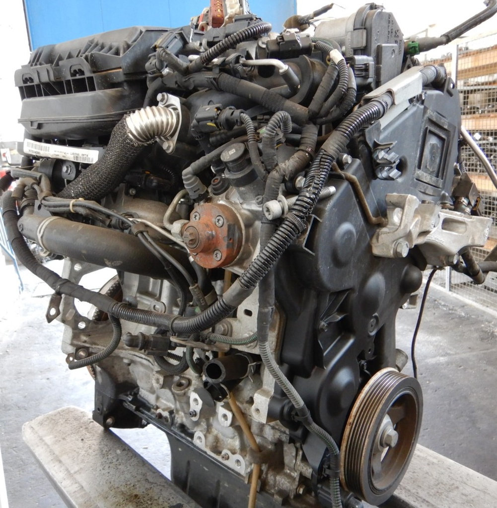 DSCN7206.JPG