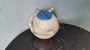 20220609_104726.jpg