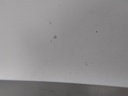 16570106660638635432985857447627.jpg