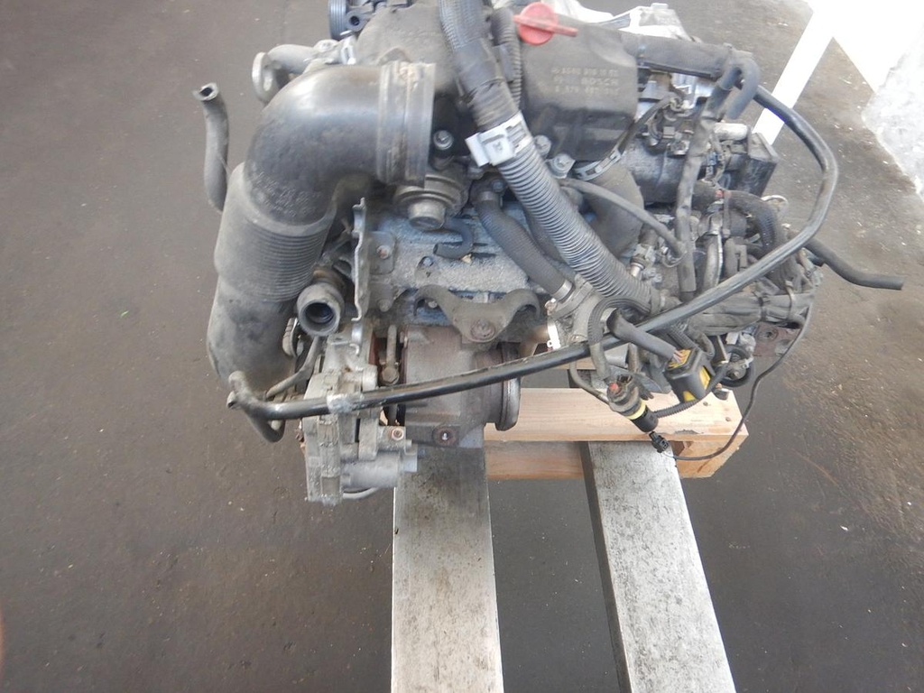DSCN8727.JPG