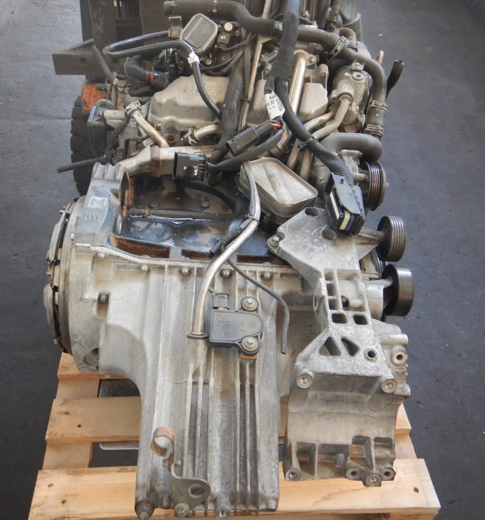 DSCN8725.JPG