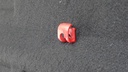 DSC03504.JPG