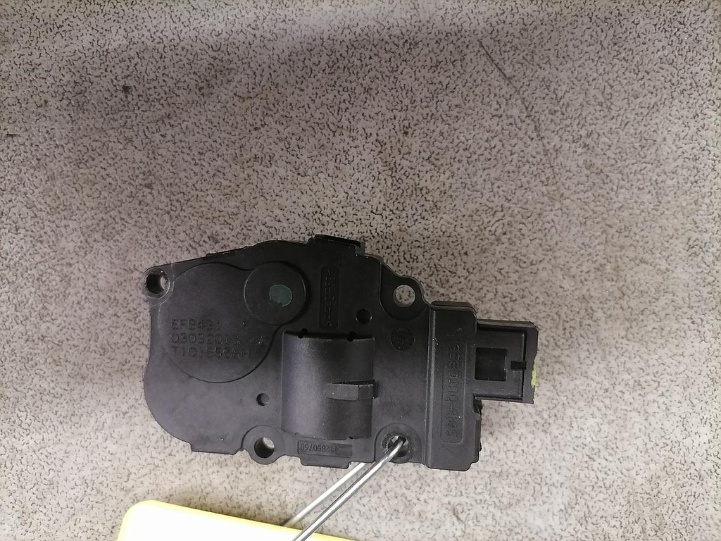 IMG_20221006_111351.jpg