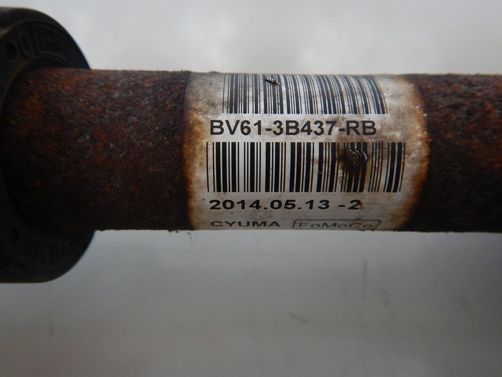 DSCN9319.JPG