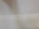 20221026_121928.jpg