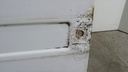 DSC07515.JPG
