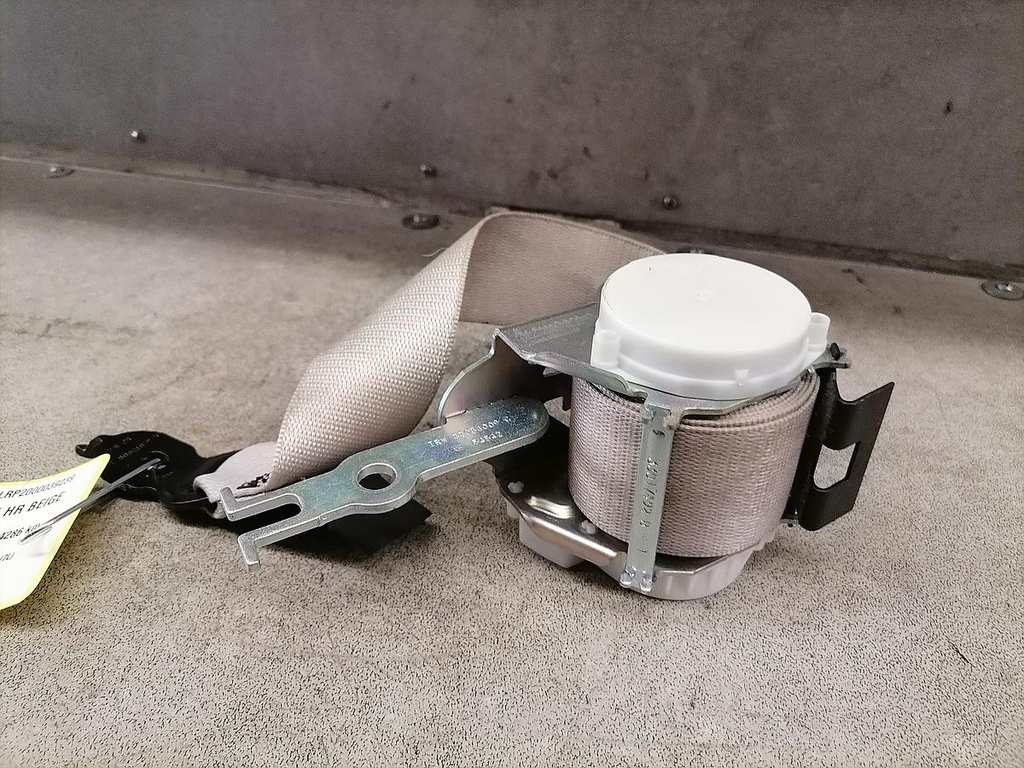 IMG_20221119_122154.jpg