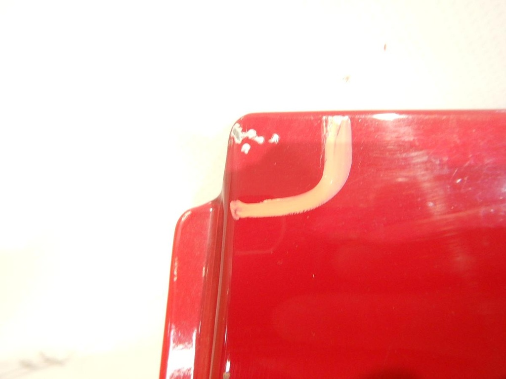 DSCN5520.JPG