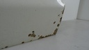 DSC09315.JPG