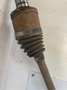 308_3.jpg