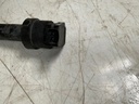 2495_3.jpg
