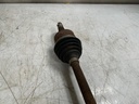 3098_2.jpg