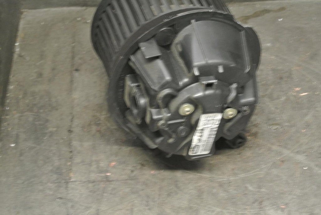 DSC_8894.JPG
