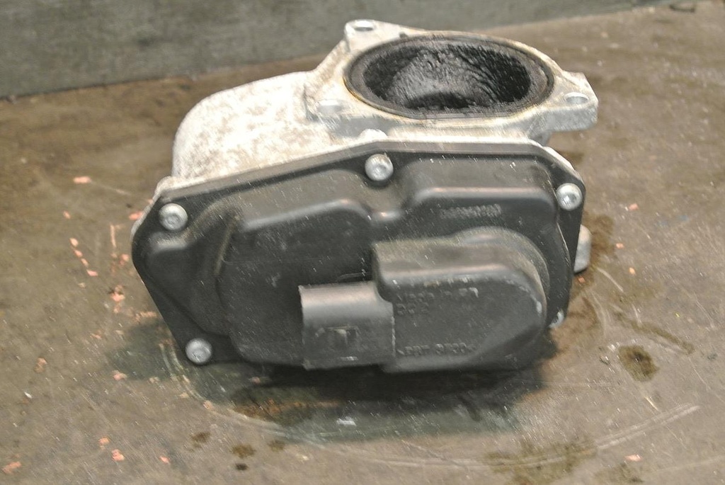 DSC_1253.JPG