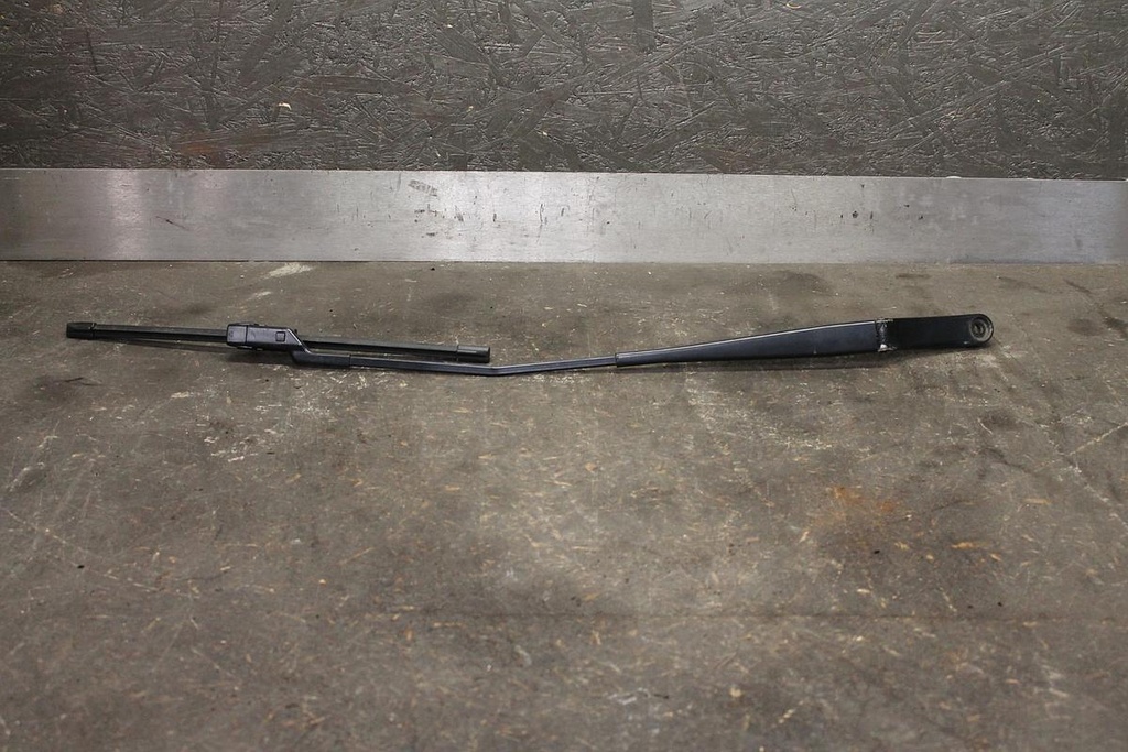 IMG_6503.JPG