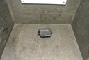 DSC_6738.JPG
