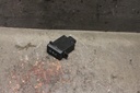 IMG_9564.JPG
