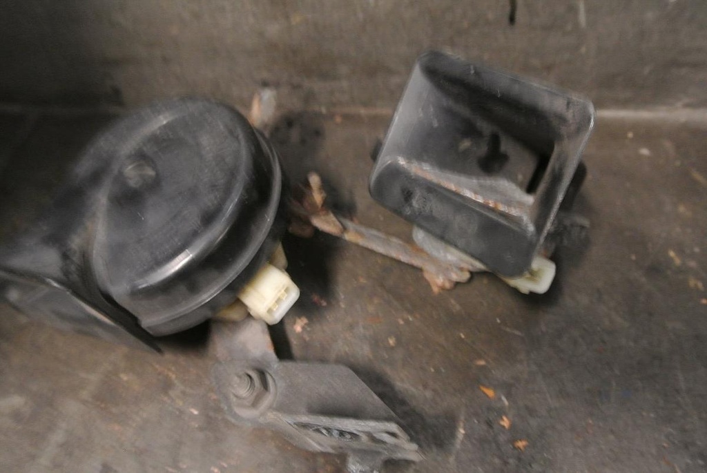 DSC_3811.JPG