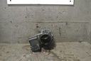 DSC_0446.JPG