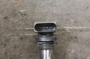 IMG_6641.JPG