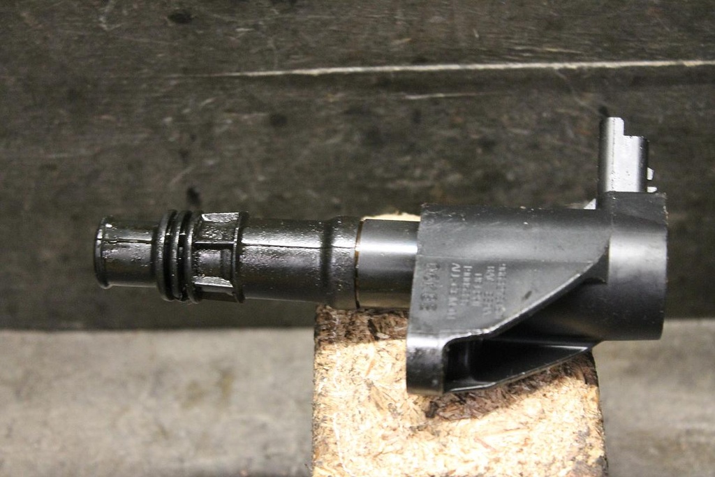 IMG_8225.JPG