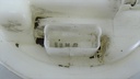 DSC01481.JPG