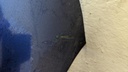 IMG_20230104_135622.jpg