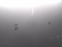 16746507307297815829758311161010.jpg