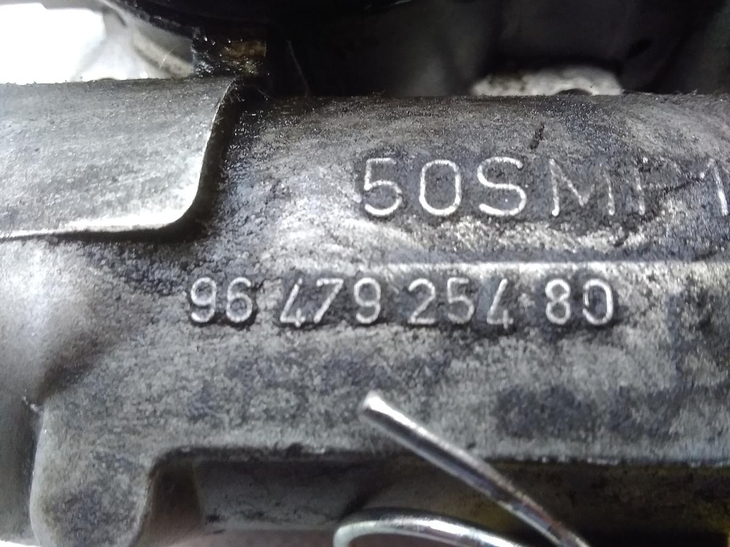 1674745717988843050461939619683.jpg
