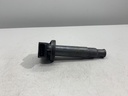 IMG_2377.JPG