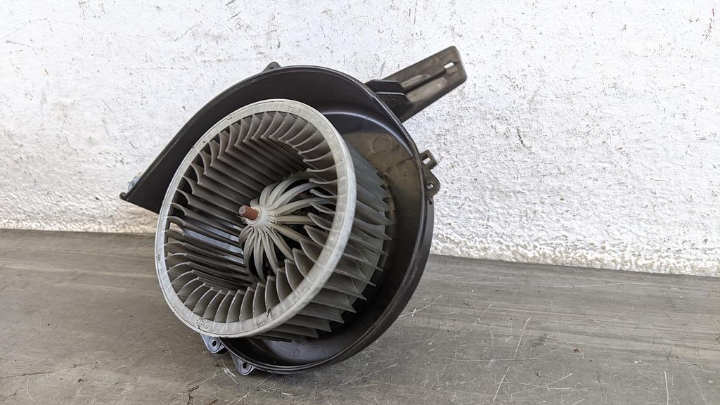 PXL_20230203_123528601.jpg