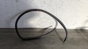 PXL_20230204_093501040.jpg