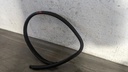 PXL_20230204_093705730.jpg