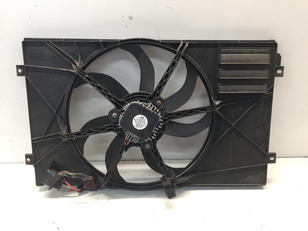 IMG_8348.JPG