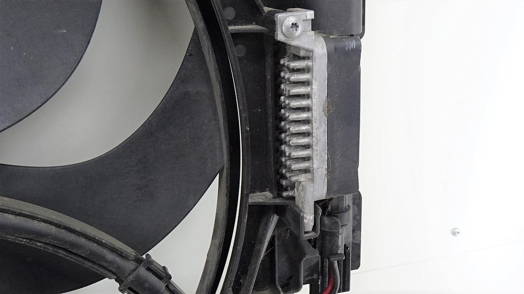 DSC06098.JPG