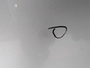 16782664463741956773493516717962.jpg