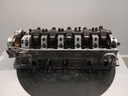 IMG_20230308_111807699.jpg