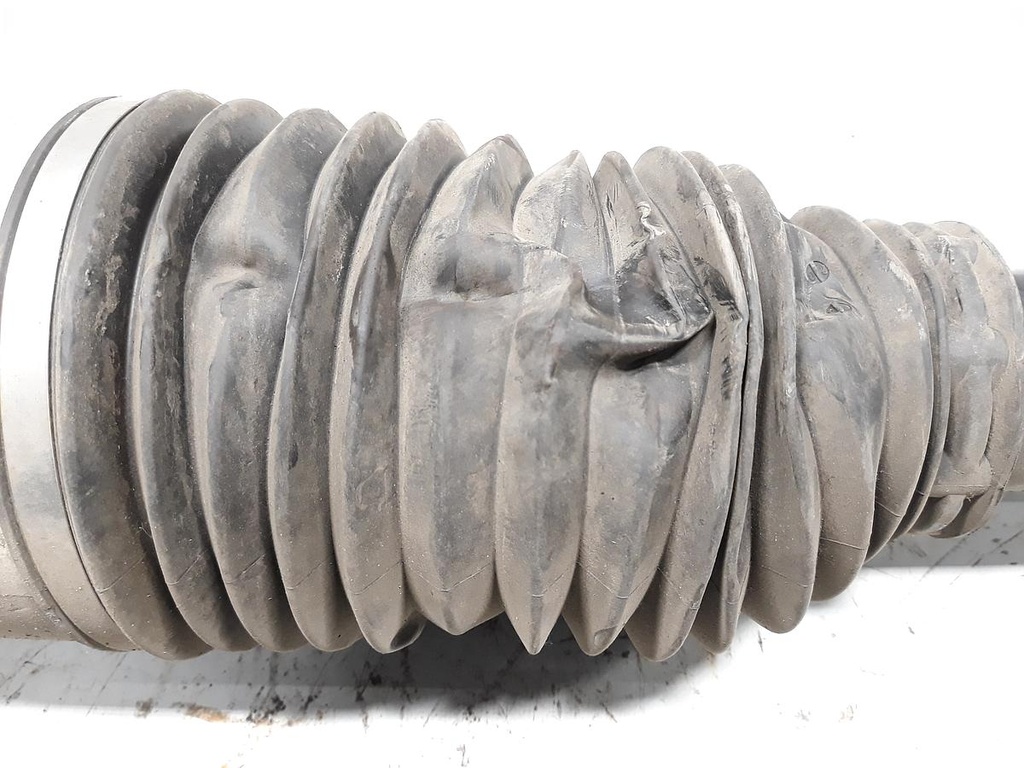 20230308_153928.jpg